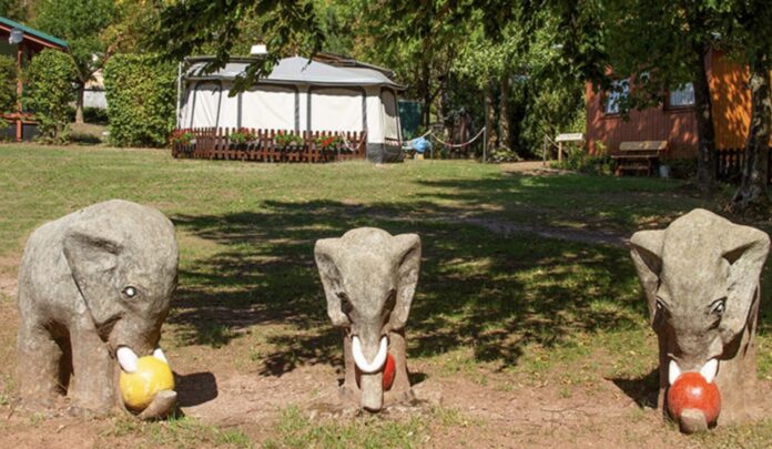 Campingpark Eisenach: kamperen in Thüringen’s natuurschoon