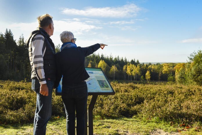 Wandelmaand trekt meer wandelliefhebbers naar de Utrechtse Heuvelrug