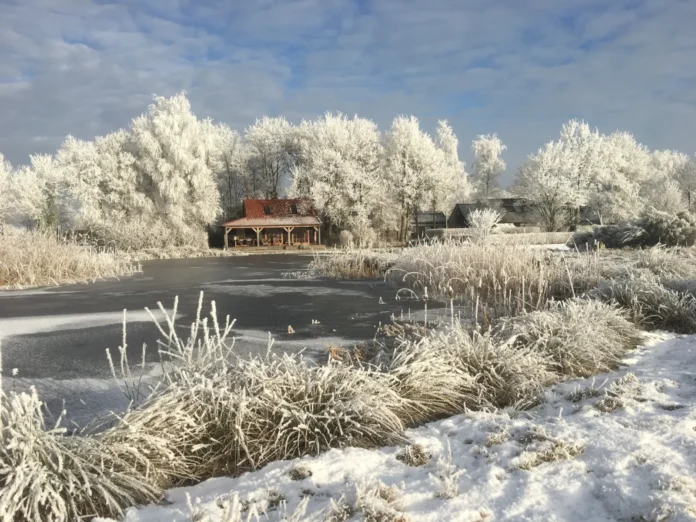 Na feestdagen zoeken Nederlanders rust in de natuur