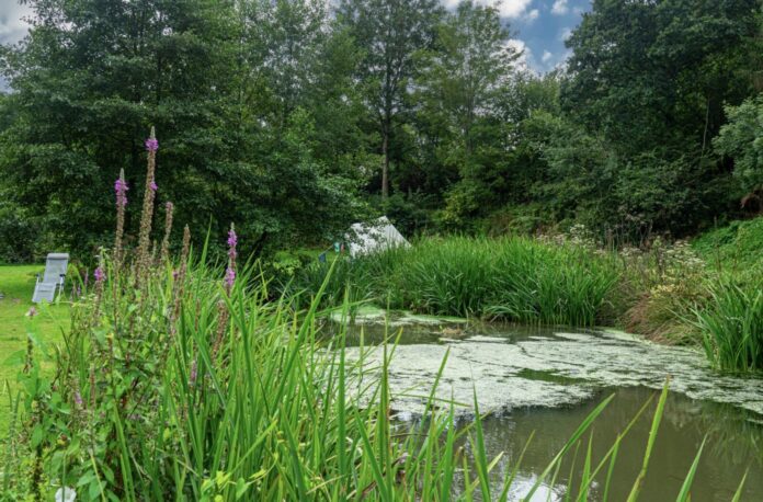 Camping Qui Vivra Verra: rust, natuur en charme in Frankrijk