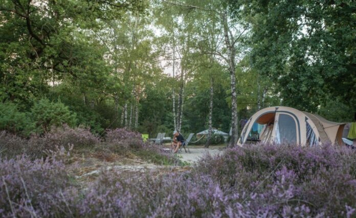 Camping Meuleman in het hart van Salland