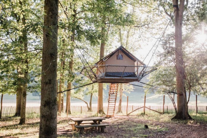 Zin om pure, authentieke natuur in België te verkennen? Ontdek de machtige Grotten van Han, ga op avontuur in het grootste dierenpark van België